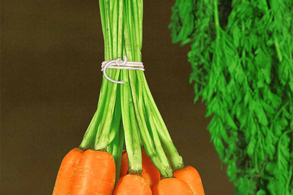 Bindelastiek voor groenten en agro